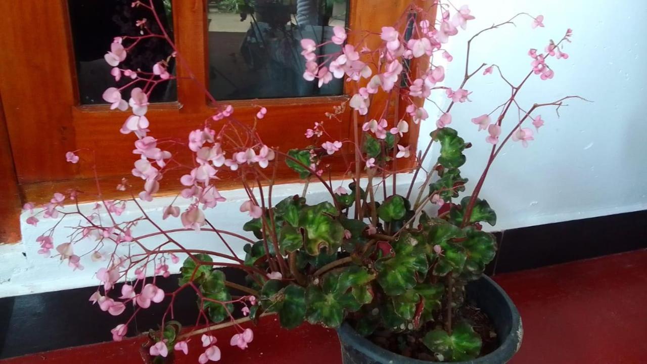 Secret Nest Homestay Ella Ngoại thất bức ảnh
