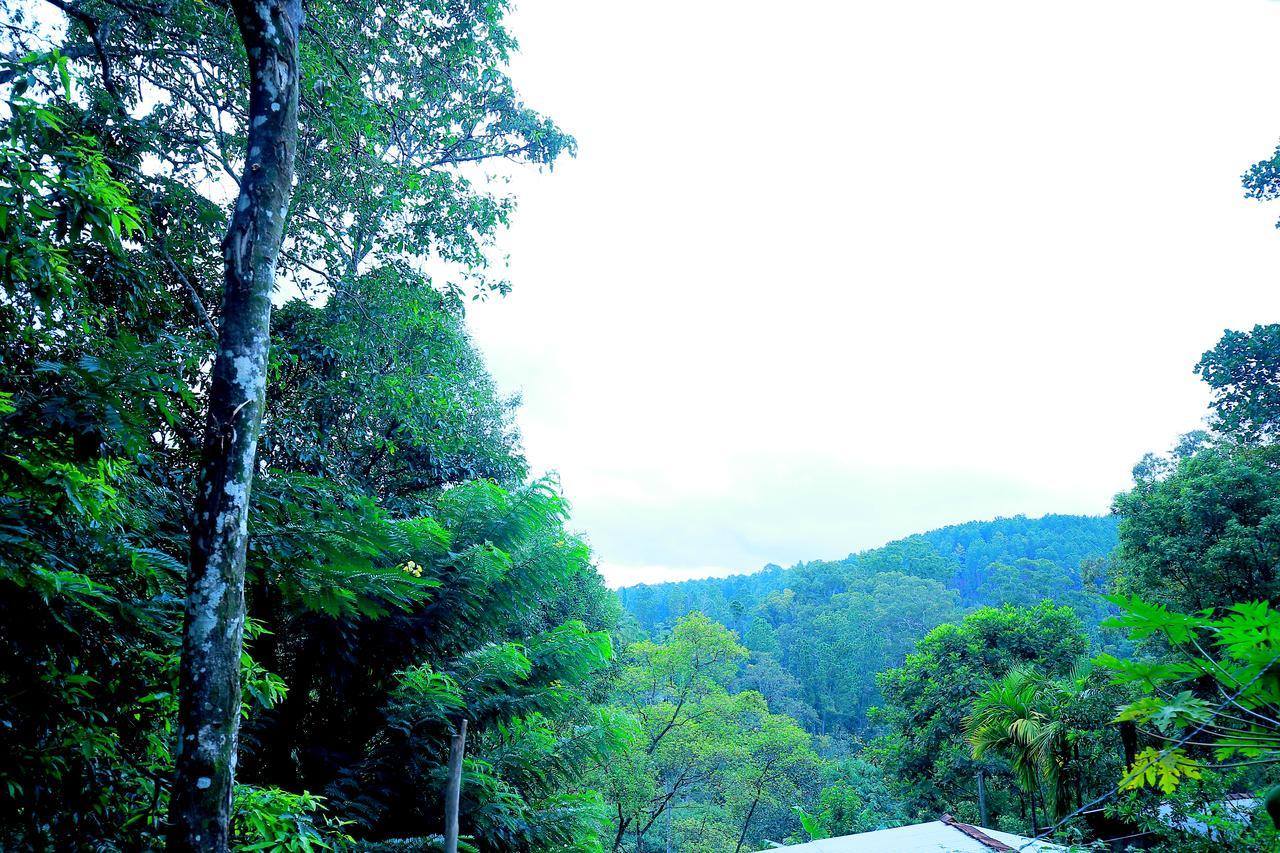 Secret Nest Homestay Ella Ngoại thất bức ảnh
