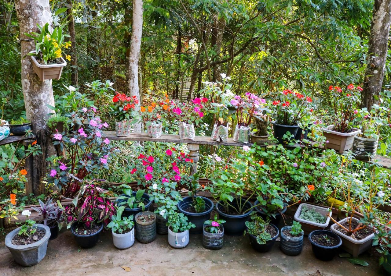 Secret Nest Homestay Ella Ngoại thất bức ảnh