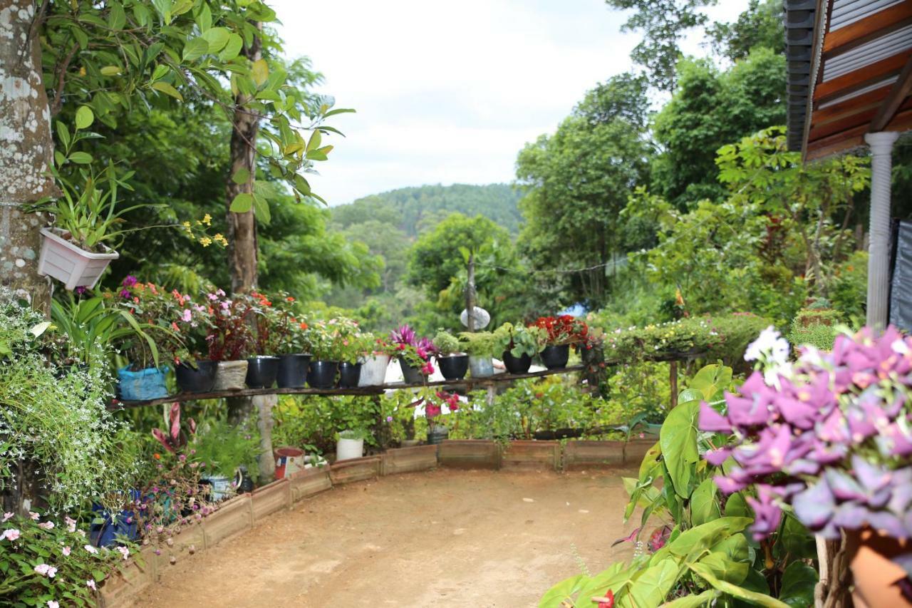Secret Nest Homestay Ella Ngoại thất bức ảnh